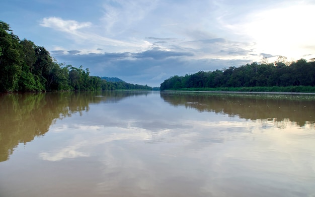 Turistas em um cruzeiro de barco pelo rio Kinabatangan, uma das mais diversas concentrações de vida selvagem em Bornéu.