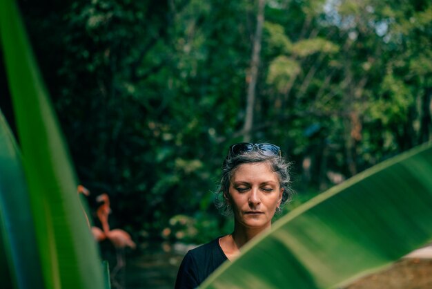 turistas están buscando un grupo de flamencos rosados en la selva de méxico mayo de 2023