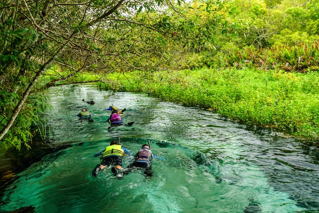 Turistas flutuando no Rio Formoso Bonito Mato Grosso do Sul Brasil