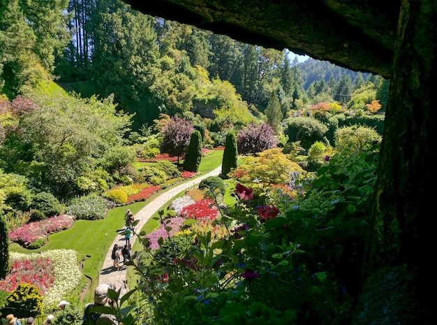 Turistas en el jardín formal