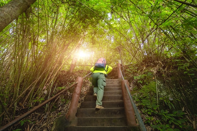 Los turistas llevan mochila, caminatas por senderos naturales, ecoturismo itinerante. Los visitantes suben las escaleras en el camino hacia la cascada Haew Suwat. El Parque Nacional Invisible de Khao Yai, Área del Patrimonio Mundial de la UNESCO.