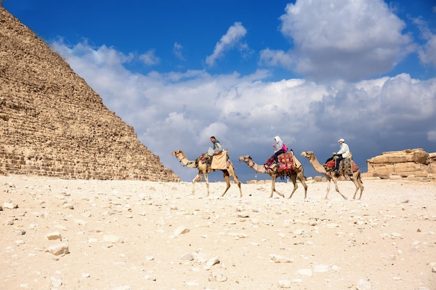 Turistas montando camellos cerca de las Pirámides de Egipto Giza