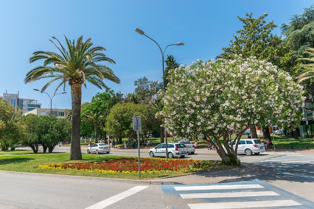 Los turistas de MONTENEGRO BUDVA están caminando en el centro de la ciudad en un día caluroso