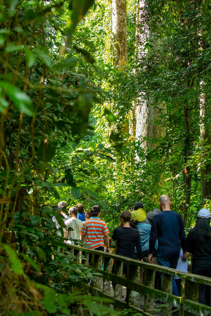 Turistas no Animal Conservation Park, um destino turístico no sudeste da Ásia, Sandakan, Sabah, Borneo, Malásia