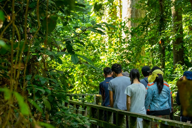 Turistas no Animal Conservation Park, um destino turístico no sudeste da Ásia, Sandakan, Sabah, Borneo, Malásia