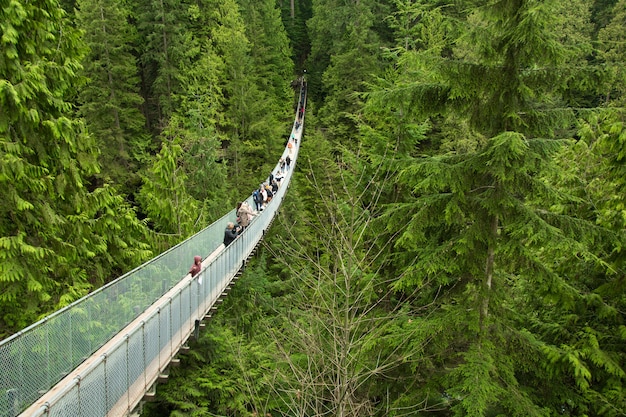 Turistas olhando a vista da ponte Capilano, perto de Vancouver