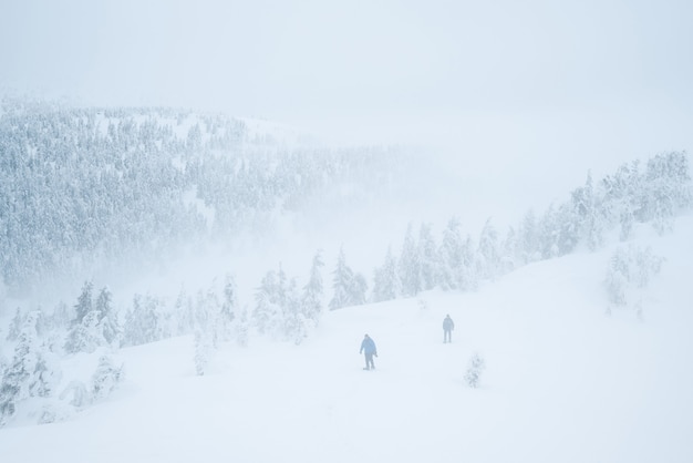 Turistas perdidos em uma caminhada na montanha no inverno. Clima de inverno desagradável com nevoeiro e pouca visibilidade