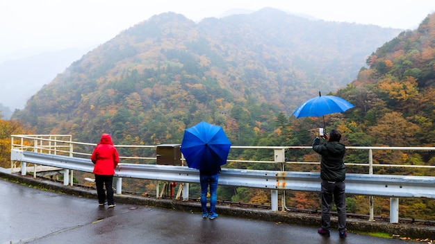 Los turistas que viajan sosteniendo un paraguas azul y toman fotos con un teléfono inteligente de pie miran hacia arriba la vista del paisaje de la montaña y la niebla en las hojas de otoño y la temporada de lluvias en Japón