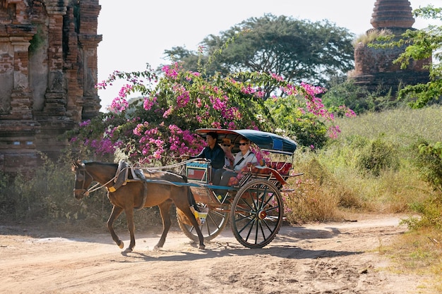 Los turistas viajan en carretas tiradas por caballos y visitan los templos de Bagan. Birmania