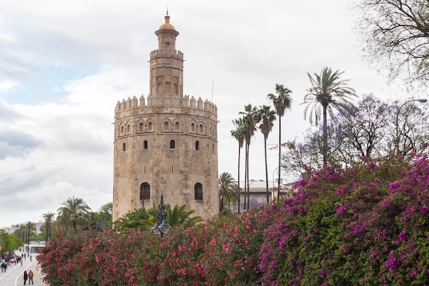 La turística Torre del Oro en Sevilla junto al río Guadalquivir Andalucía España