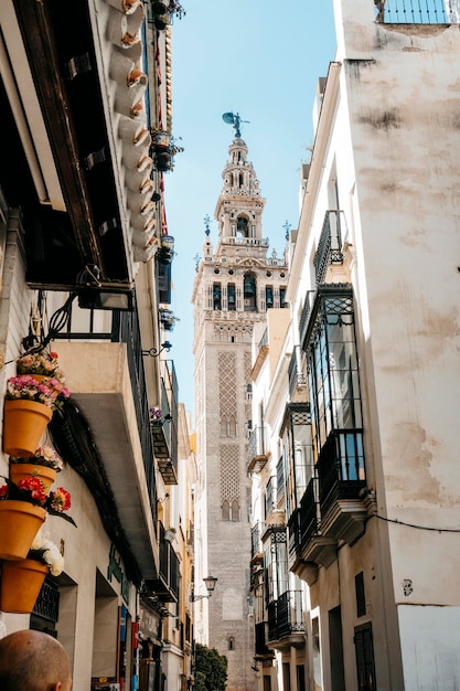 Turm der Giralda, der an klaren Tagen zwischen Gebäuden der schmalen Straße späht