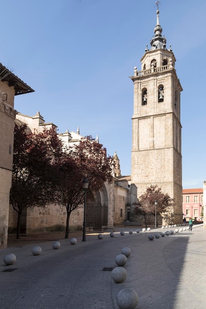 Turm der Stiftskirche Talavera de la Reina Toledo Spanien