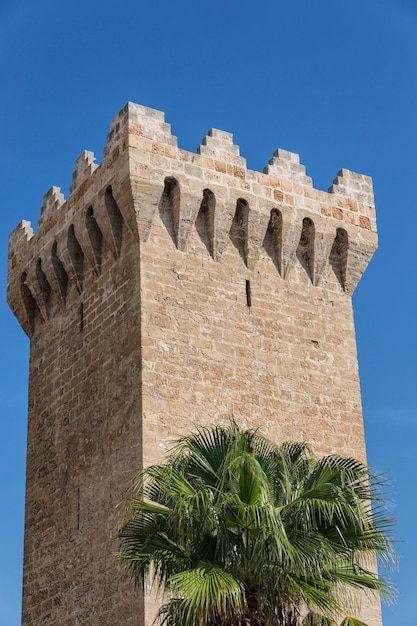 Turm in Valldemosa Mallorca Spanien