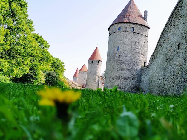 Turm inmitten von Bäumen auf dem Feld gegen den Himmel