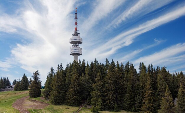 Turm Snezhana auf dem Gipfel von Snezhana, bedeckt mit Fichtenwäldern in den Rhodopen