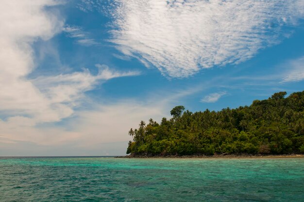 Turquesa Tropical Polinésia Paraíso Palm Beach Oceano Mar Água Cristal Bornéu Indonésia