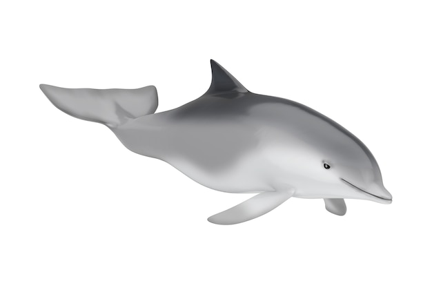 Tursiops truncatus océano o mar delfín mular sobre un fondo blanco. Representación 3D