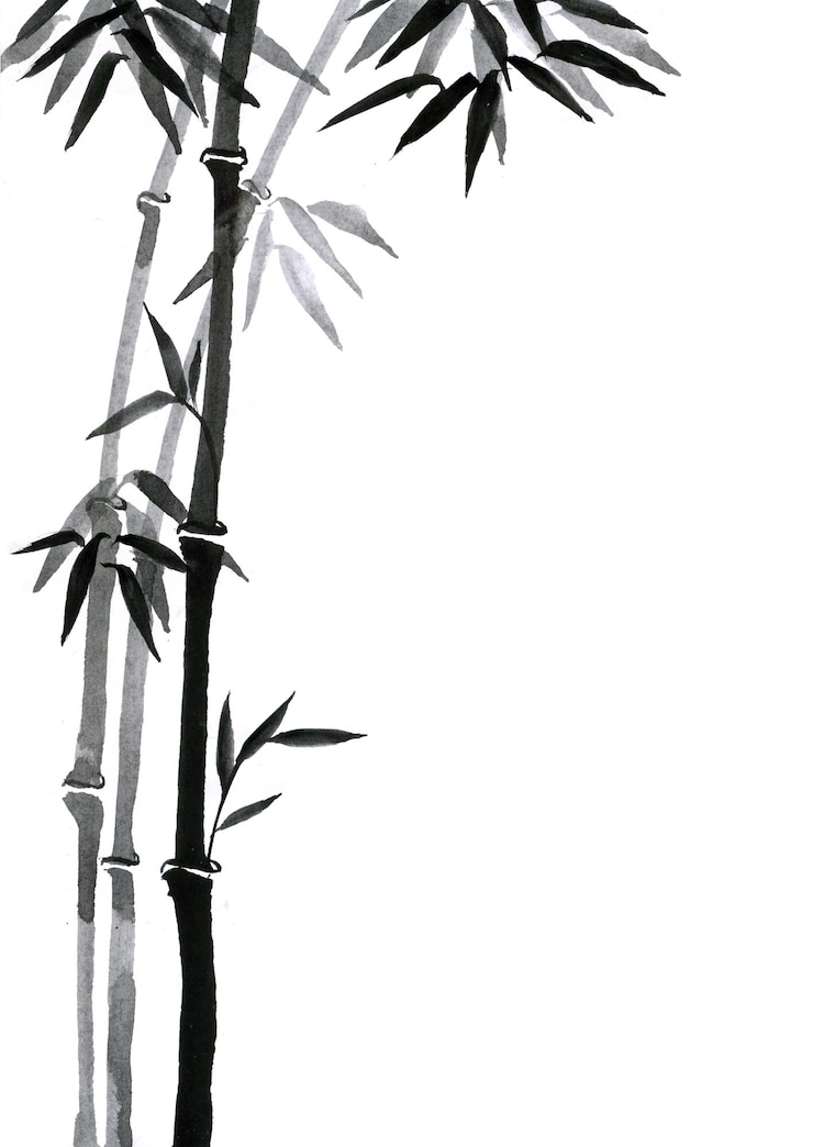 Foto tuschemalerei mit bambusbaum im einfachen minimalistischen stil auf reispapierhintergrund. traditionelle orientalische tuschemalerei sumie mit gohua-hieroglyphen-klarheit