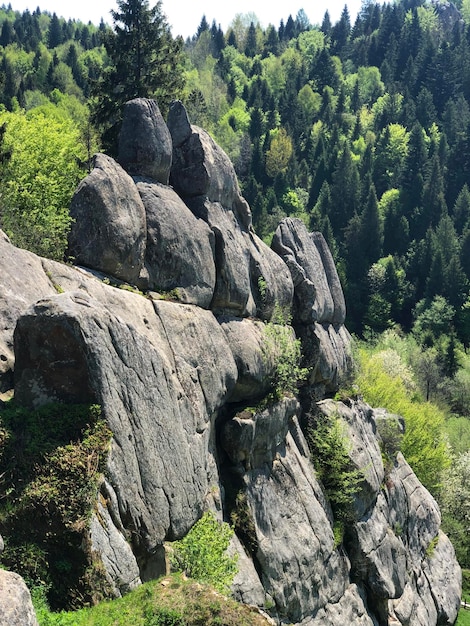 Tustan-Bergfelsen