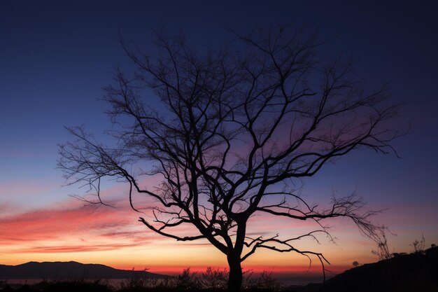 Foto twilight ruhe trockene baum silhouette gegen die lebendigen sonnenuntergang farbtöne