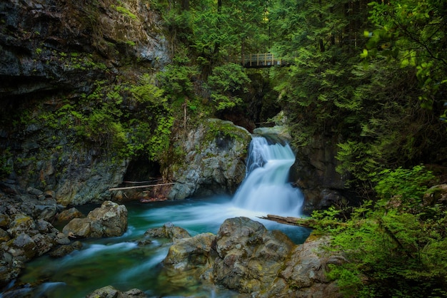 Twin falls em lynn canyon park north vancouver canadá