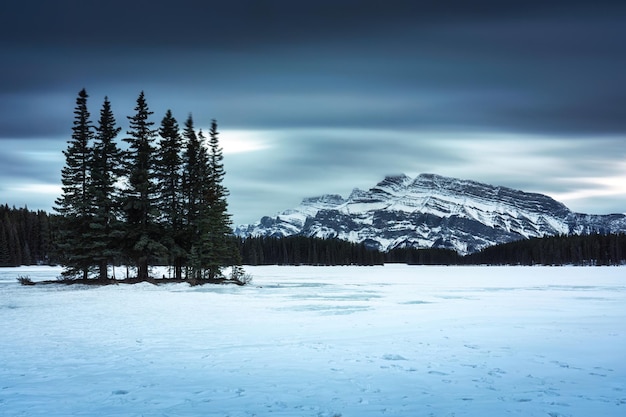 Two jack lake com mount rundle e floresta de pinheiros no inverno à noite no parque nacional de banff