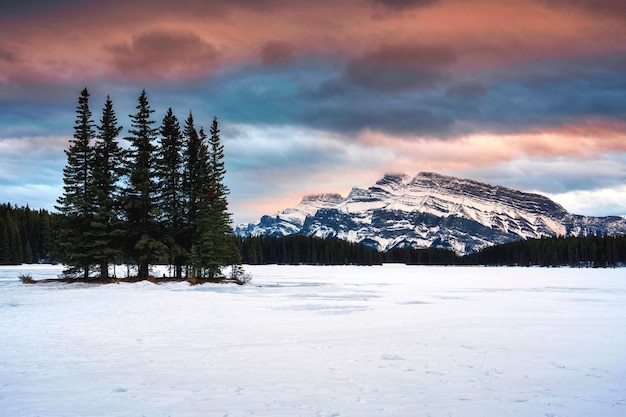 Two Jack Lake con Mount Rundle y bosque de pinos en invierno por la noche en el parque nacional de Banff
