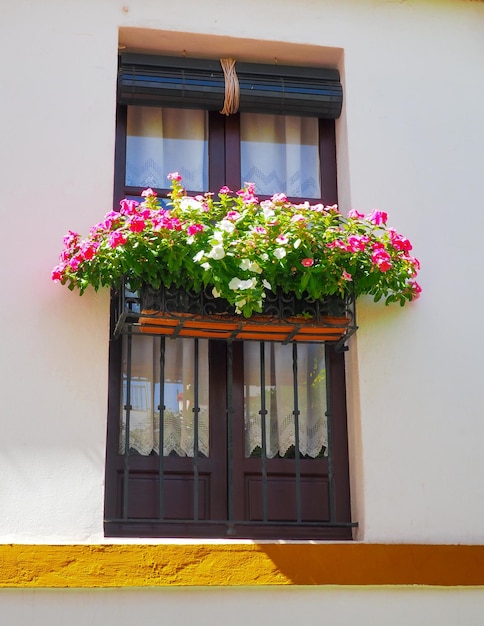 Typisch andalusisches Fenster mit Balkon und Blumenkasten