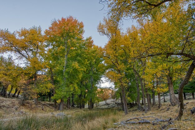 Typisch herbstliche Landschaft in den andalusischen Feldern