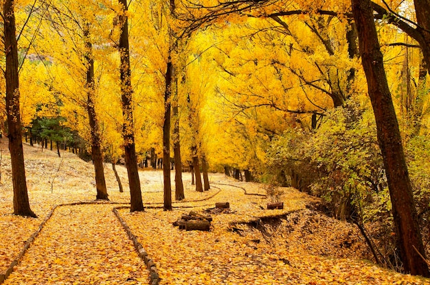 Typisch herbstliche Landschaft in den andalusischen Feldern