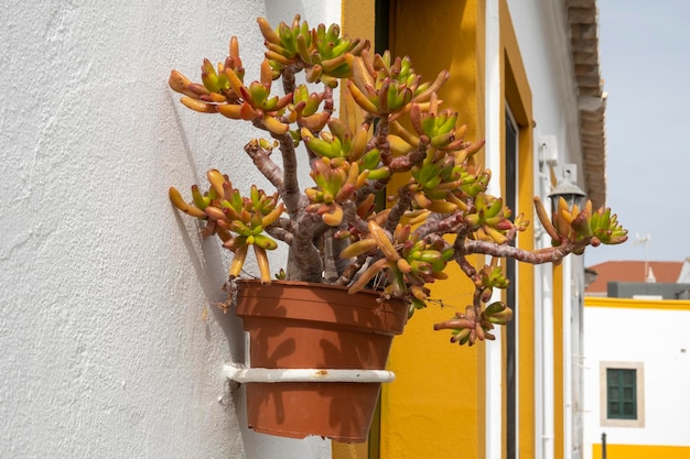 Typische alte Straße der Stadt Faro