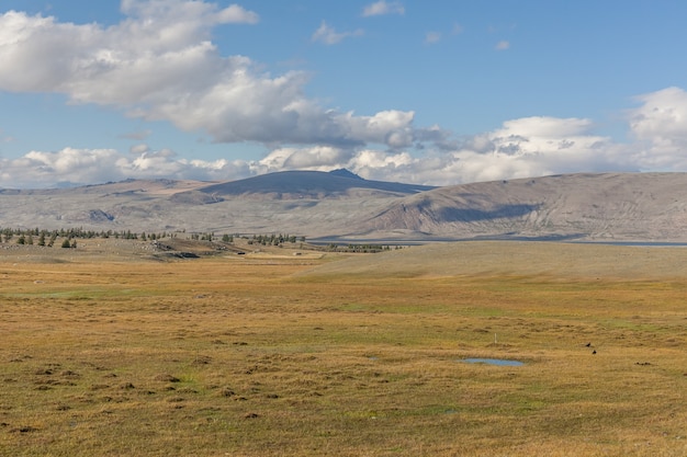 Typische Ansicht der mongolischen Landschaft. Mongolischer Altai, Mongolei