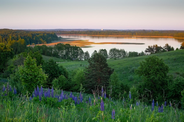 Typische belarussische Landschaft am Abend