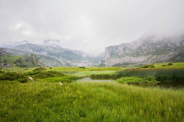 Typische grüne Berglandschaft Nordspaniens