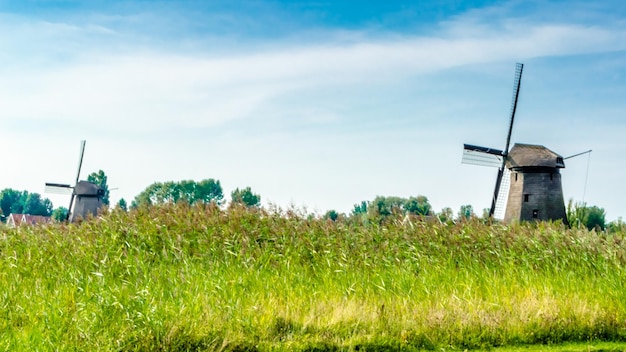 Typische niederländische Landschaft in Alkmaar in den Niederlanden