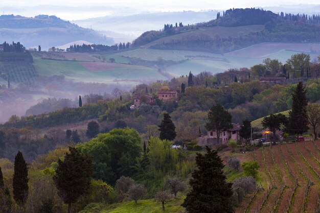 Typische toskanische Landschaft - Blick auf eine Villa auf einem Hügel, eine Zypressenallee und ein Tal mit Weinbergen, Provinz Siena. Toskana, Italien