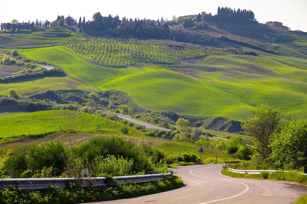 Typische toskanische Landschaft - Straße und Blick auf eine Villa auf einem Hügel mit grünen Feldern am sonnigen Tag. Provinz Siena. Toskana, Italien