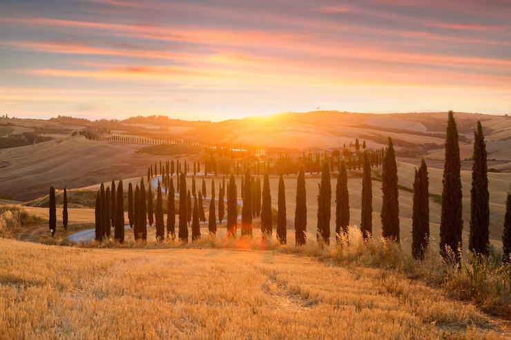 Foto typisches bauernhaus auf einem hügel im val d'orcia. landschaftslandschaft bei sonnenuntergang der toskana italien
