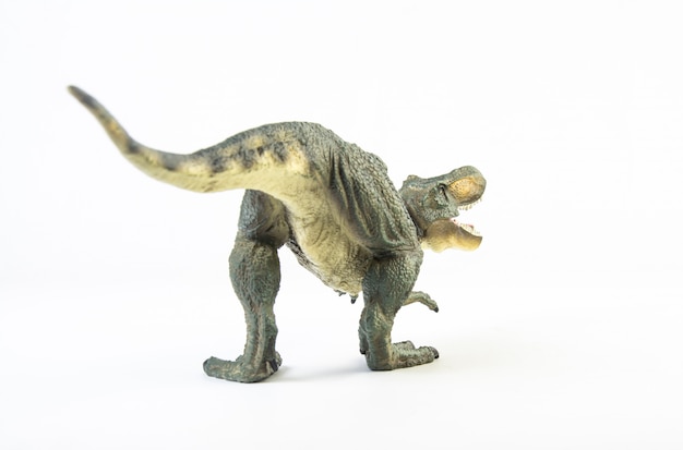 Tyrannosaurus T-Rex, Dinosaurier isoliert