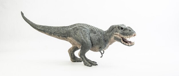 Tyrannosaurus T-rex, dinosaurio