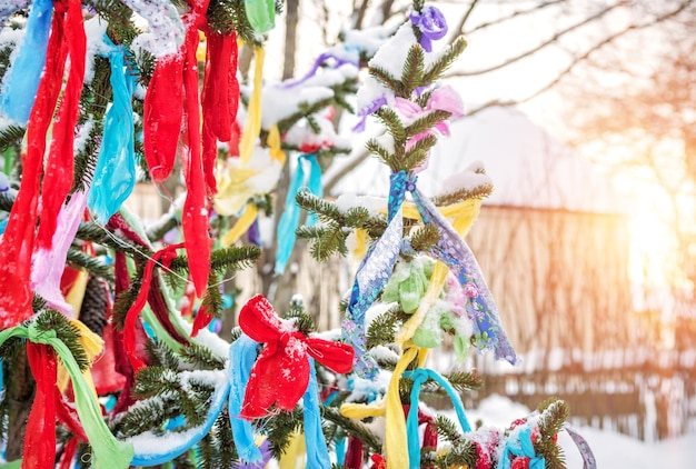 Ubanchennaya decorado com arcos abeto a aldeia do povo Katskari a aldeia de Martynovo