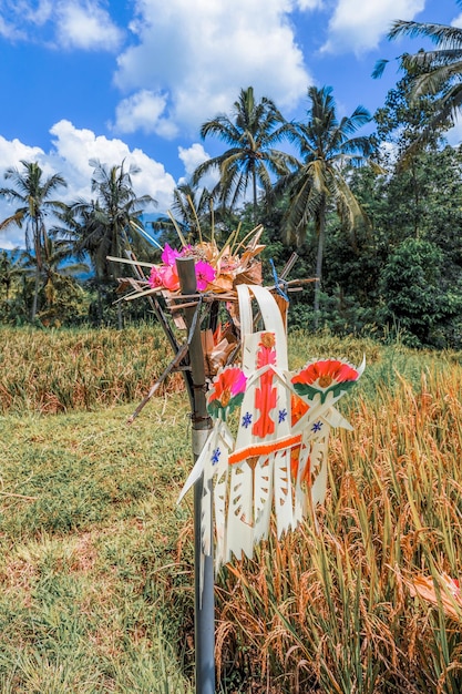 Foto ubud auf bali