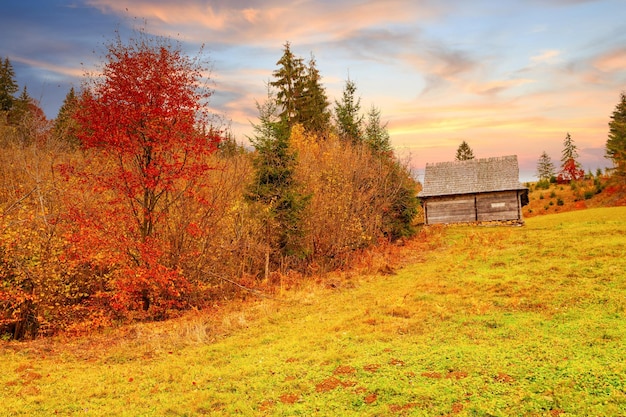 Ucrânia, as maravilhosas montanhas dos cárpatos, incrível paisagem montanhosa com pôr do sol colorido e vívido no céu nublado, fundo natural de viagem ao ar livre, mundo da beleza