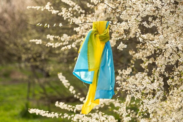 Ucrania bandera amarilla y azul en un jardín de flores