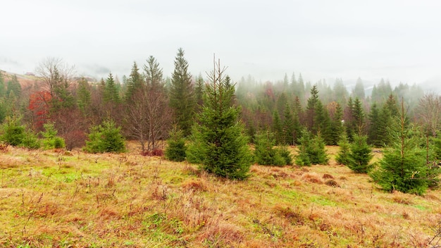 Ucrânia Cárpatos Tempo de neblina matinal nas montanhas do outono Paisagem com montanhas nevadas e névoa em execução