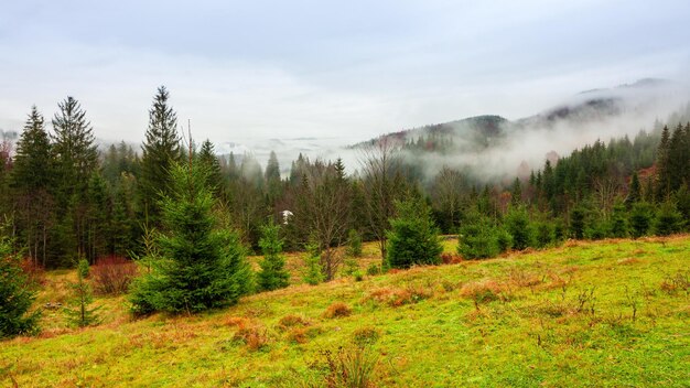 Ucrânia Cárpatos Tempo de neblina matinal nas montanhas do outono Paisagem com montanhas nevadas e névoa em execução