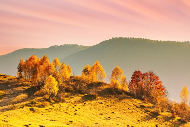 Ucrania Gran escena Muy hermosa puesta de sol de invierno con montañas y nubes Los rayos del sol atravesando el espesor de las nubes pintan todo a su alrededor con luz mágica Cárpatos