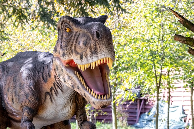 Ucrânia, khmelnitsky, outubro de 2021. modelo de dinossauro no parque. tiranossauro gigante em uma exposição no parque em um dia ensolarado de verão, a cabeça de um dinossauro