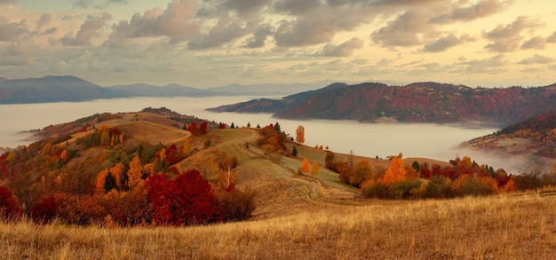 Ucrania Un mágico amanecer de otoño con niebla arrastrándose sobre valles sobre formaciones montañosas lejos de la civilización Paso Synevyr ubicado en las montañas de los Cárpatos