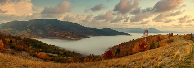 Ucrania Un mágico amanecer de otoño con niebla arrastrándose sobre valles sobre formaciones montañosas lejos de la civilización Paso Synevyr ubicado en las montañas de los Cárpatos